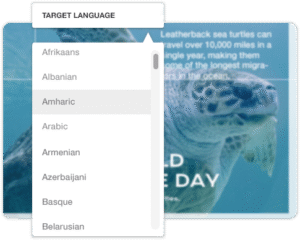 AI Image Translator - Visual Paradigm AI