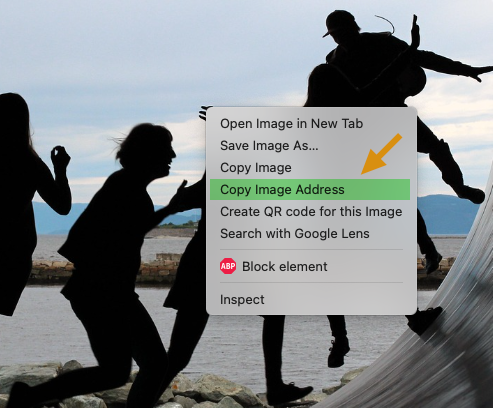 Visual Paradigm Annotator - Copy image URL